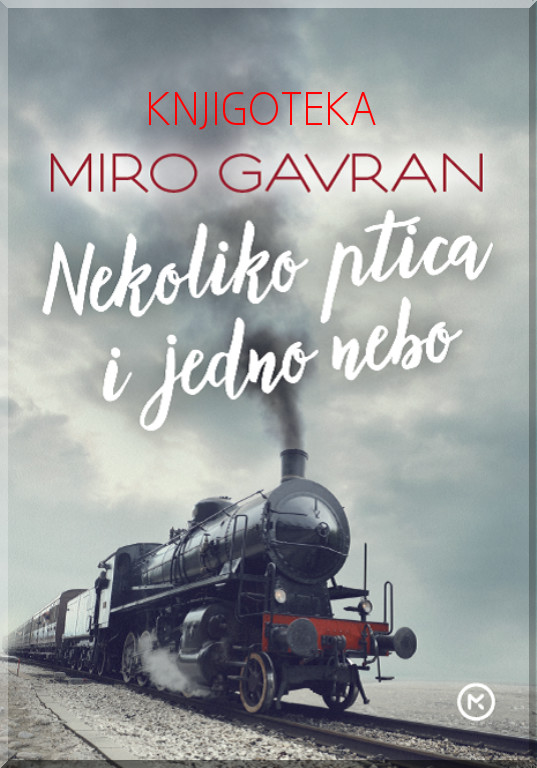 Nekoliko ptica i jedno nebo